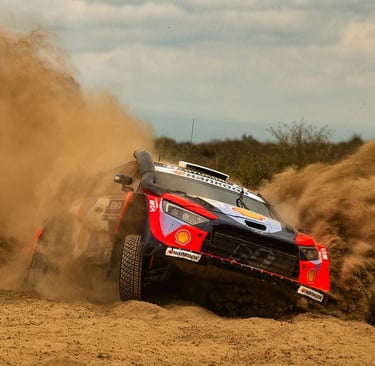 Ottas Tanakas Hyundai