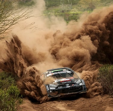 Elfynas Evansas Toyota