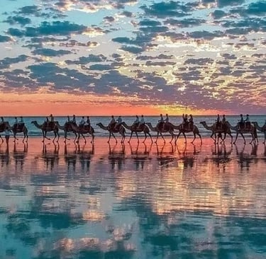 morocco a group of people riding on camels on the beach