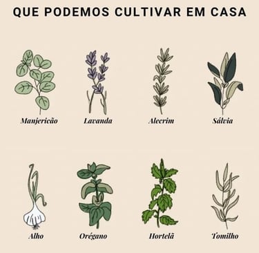 um pôster com ervas e ervas no meio do quadro
