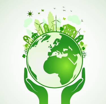 respect de l'environnement