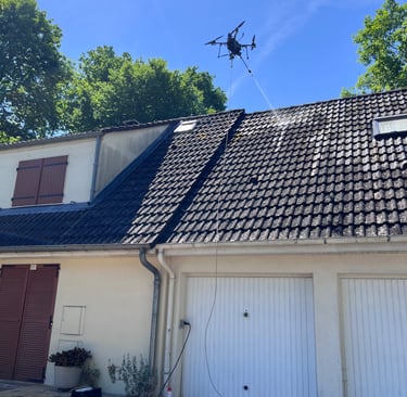 nettoyage toiture Dammary les lys