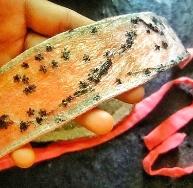 Recycled plastic hair band in the hand 
