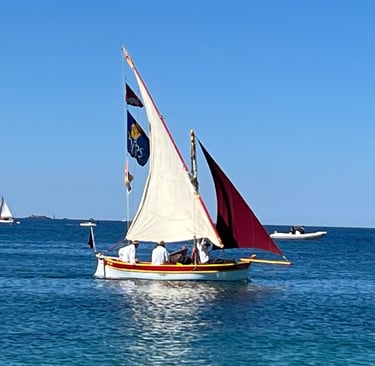 La parade des vieux gréments à Giens