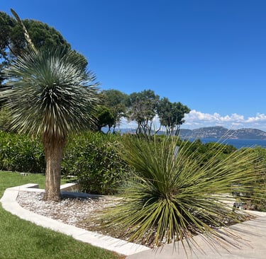 Magnifique vue mer depuis la terrasse