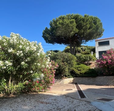 Le parking et la location