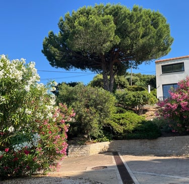 La location saisonnière