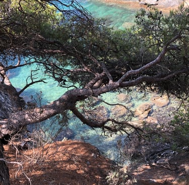 Les criques de la presqu’île de giens