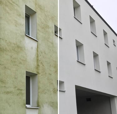 Fassaden-, Dach-, Fenster-, PV- und Pflastersteinreinigung von Easy-Sauber – gründlich, professionel