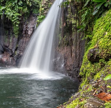 petit bourg voyage france guadeloupe