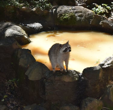 zoo voyage france guadeloupe