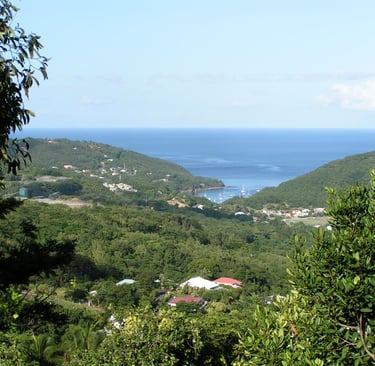 cafeière voyage france guadeloupe