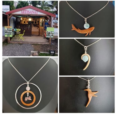 Eugénie Bachelier Voyage france guadeloupe