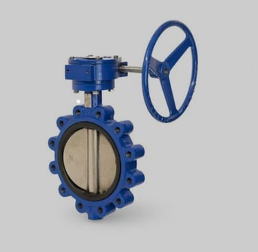 C.I / D.I Luge Type Butterfly Valves