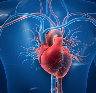 Cermat dalam memilih dan mengolah makanan menjadi faktor penting mencegah penyakit jantung atau kard