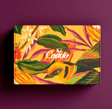 ilustração