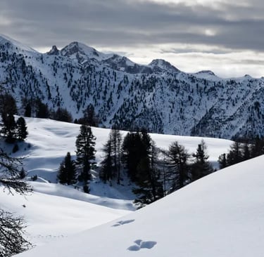 Séjour raquette. GypAster, accompagnateur en montagne, Briançon, Serre-Chevalier, Clarée, Ecrins