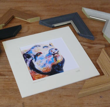 choosing a picture framing