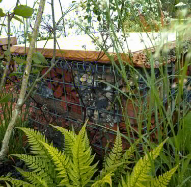 Gabion filled with reclaimed building materials seen through planting including Betula utilis var. jacquemontii multi-stem