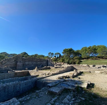 Visite privative de glanum
