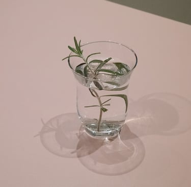 picture of rosmary tea