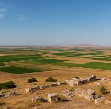 Harran Ovası