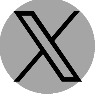 X Icon