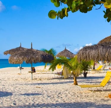 a beach with chairs and umbrellas on the sand