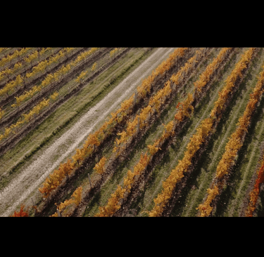 video aziendale brescia video corporate brescia