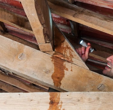 Inspecting roof beams