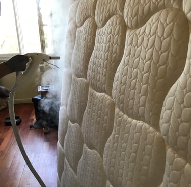 punaises de lit sur matelas