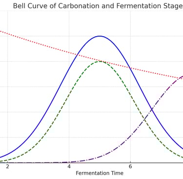 Bell Curve of Carbonation and Fermentation Stages for Ginger Bug. 