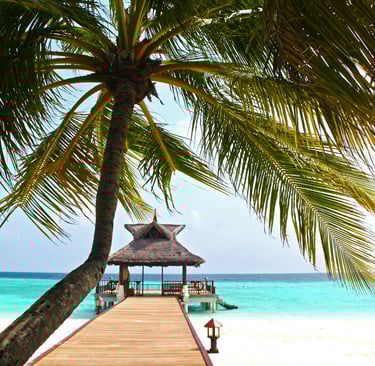 Beach Holiday