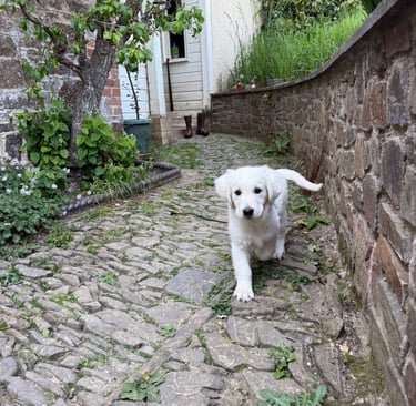 Gioia not wanting to go inside