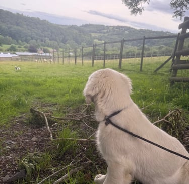 Massimo looking down on the valley