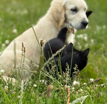 Little Spice Here I am