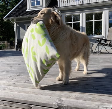 I am tired where can I sleep