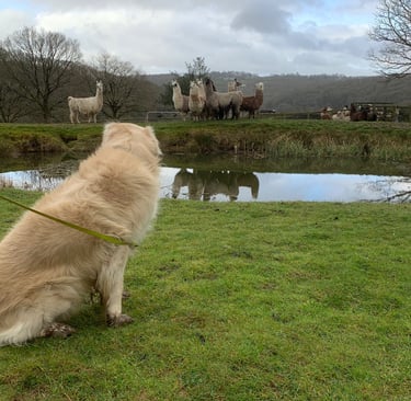 What!!!! What kind of animal is that!