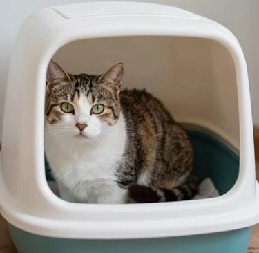 white concrete building during daytime