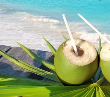Quais os Benefícios da Água de Coco