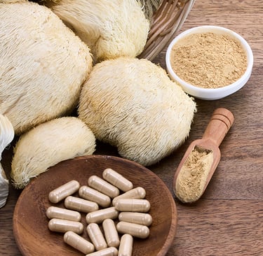 Cogumelo Juba de Leão: O Que É, Para Que Serve e Benefícios