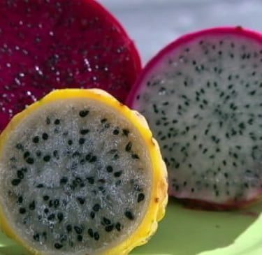 Quais os Benefícios da Fruta Pitaya