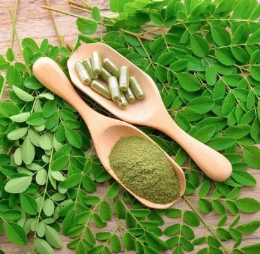 Moringa em Pó: O Que É, Para Que Serve, Benefícios