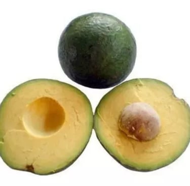 Abacate geada e breda