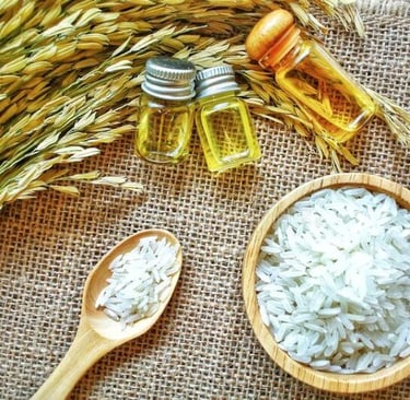 Gamma Oryzanol: Para que serve e benefícios