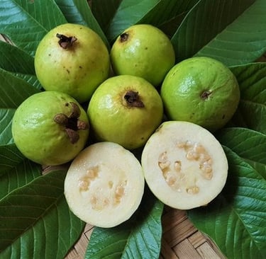Goiaba Branca