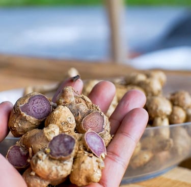 Black Ginger: Benefícios e para que serve