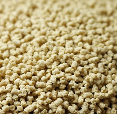 Crispie Proteico com Whey Protein: O Que É, Benefícios, Como Consumir e Receita Caseira
