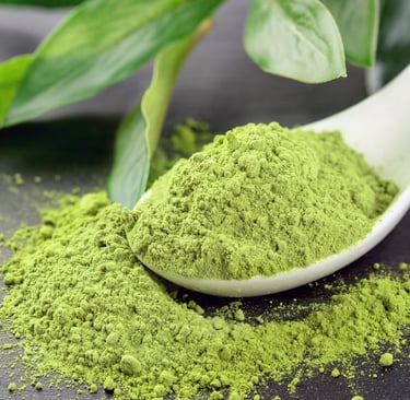 Matcha: O Que É, Para Que Serve, Benefícios