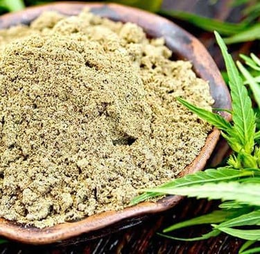 Proteína do Cânhamo: O Que É, Para Que Serve e Benefícios